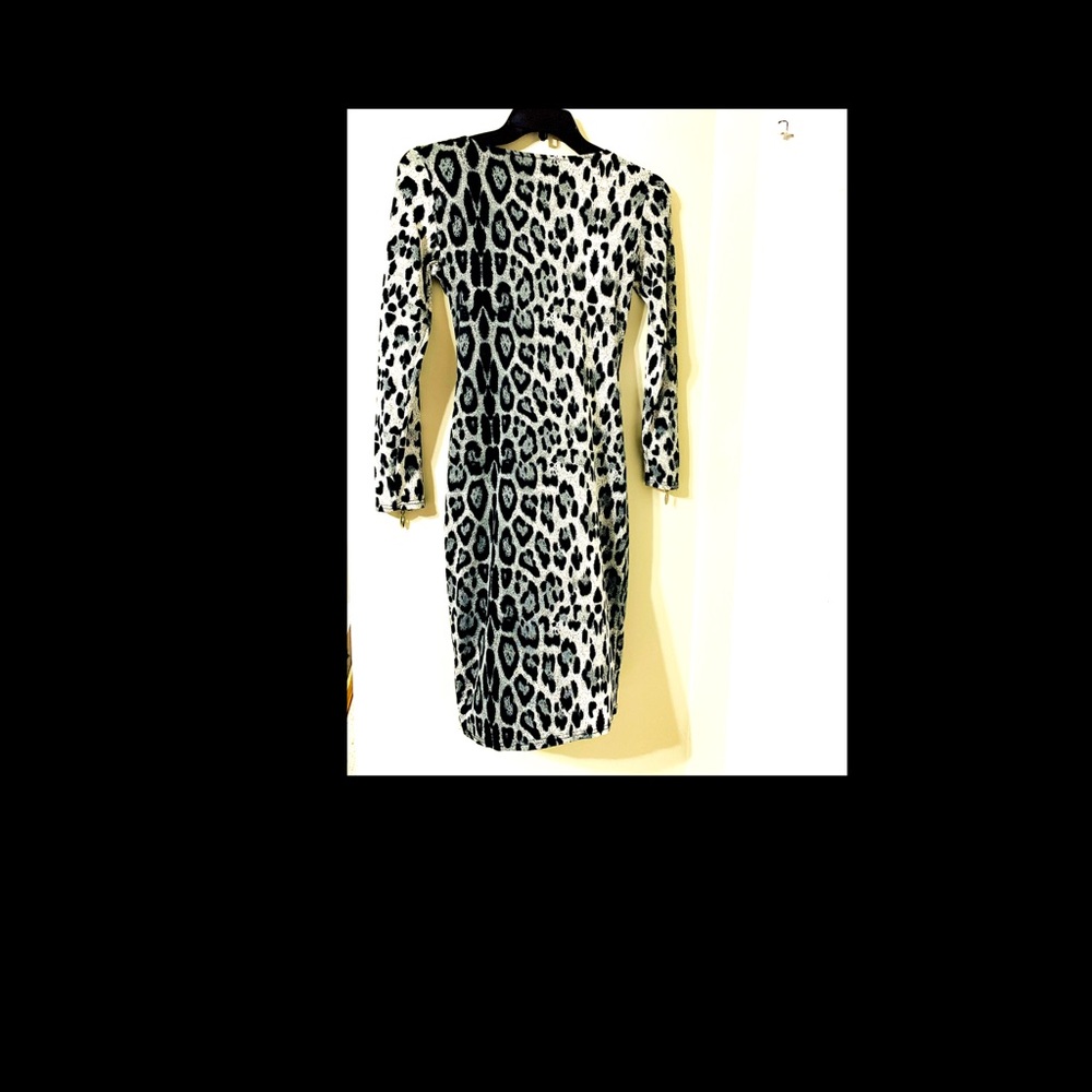 Leopard Dress - Picture 2 of 2